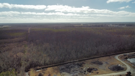 275-Acre Timberland for Sale in Tyrrell County, NC - image 4