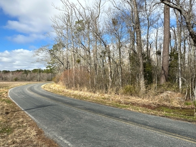 275-Acre Timberland for Sale in Tyrrell County, NC - image 10