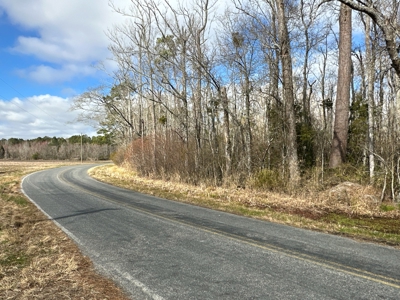 275-Acre Timberland for Sale in Tyrrell County, NC - image 11