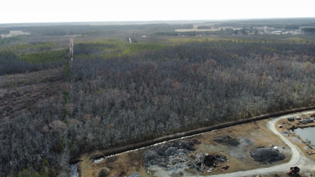 275-Acre Timberland for Sale in Tyrrell County, NC - image 6
