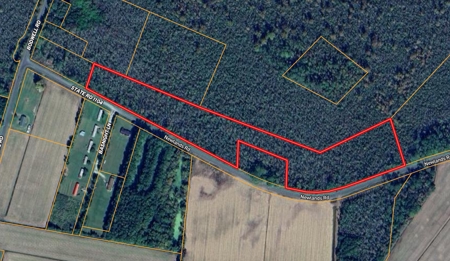 275-Acre Timberland for Sale in Tyrrell County, NC - image 13