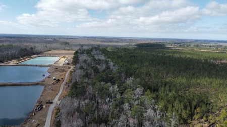 275-Acre Timberland for Sale in Tyrrell County, NC - image 2