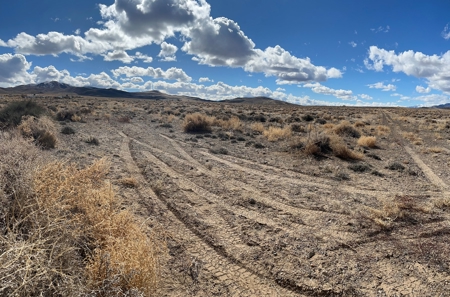 Nevada Residential Horse Property For Sale Silver Springs Nv - image 4
