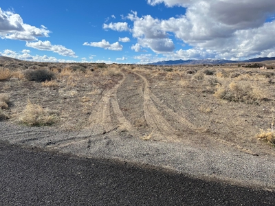 Nevada Residential Horse Property For Sale Silver Springs Nv - image 2