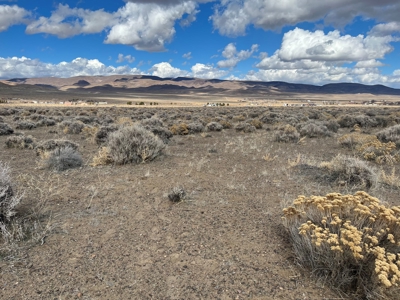 Nevada Residential Horse Property For Sale Silver Springs Nv - image 9