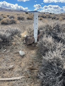 Nevada Residential Horse Property For Sale Silver Springs Nv - image 8