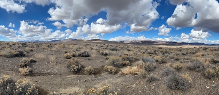 Nevada Residential Horse Property For Sale Silver Springs Nv - image 1