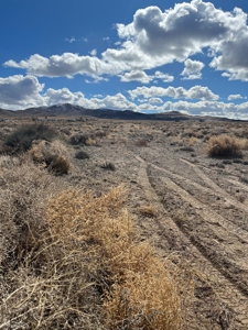 Nevada Residential Horse Property For Sale Silver Springs Nv - image 3