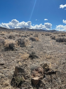 Nevada Residential Horse Property For Sale Silver Springs Nv - image 5