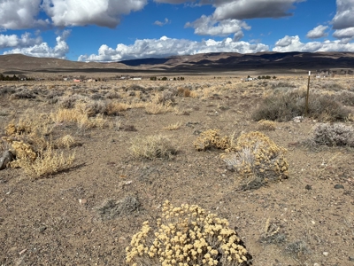 Nevada Residential Horse Property For Sale Silver Springs Nv - image 11