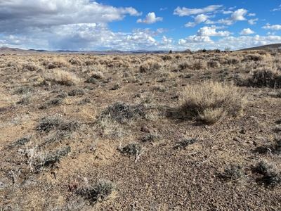 Nevada Residential Horse Property For Sale Silver Springs Nv - image 7