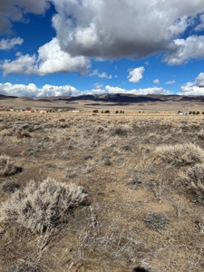 Nevada Residential Horse Property For Sale Silver Springs Nv - image 6