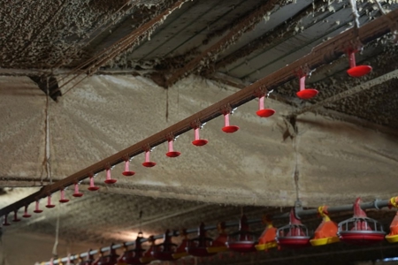 6-House Poultry Broiler Farm For Sale in MS - image 16