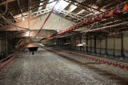 6-House Poultry Broiler Farm For Sale in MS - image 14
