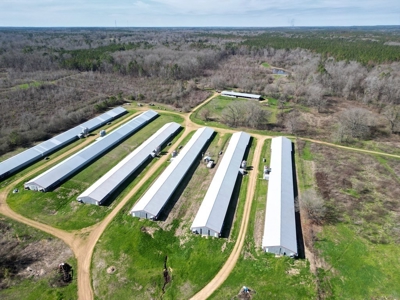6-House Poultry Broiler Farm For Sale in MS - image 2