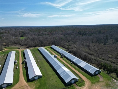 6-House Poultry Broiler Farm For Sale in MS - image 3