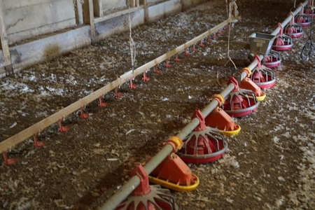 6-House Poultry Broiler Farm For Sale in MS - image 13