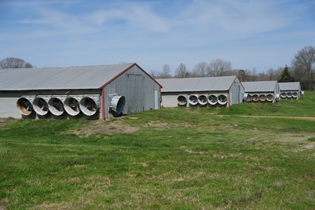 6-House Poultry Broiler Farm For Sale in MS - image 7
