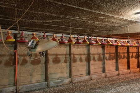 6-House Poultry Broiler Farm For Sale in MS - image 15