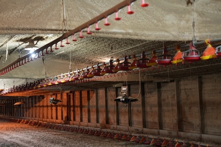 6-House Poultry Broiler Farm For Sale in MS - image 17