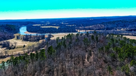 Spectacular Current River Farm Auction With Income Potential - image 47