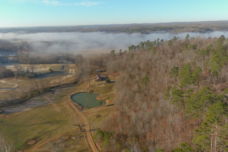 Spectacular Current River Farm Auction With Income Potential - image 5
