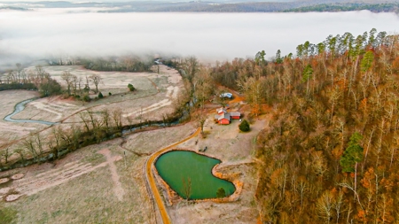Spectacular Current River Farm Auction With Income Potential - image 21