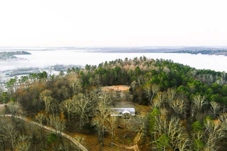 Spectacular Current River Farm Auction With Income Potential - image 19