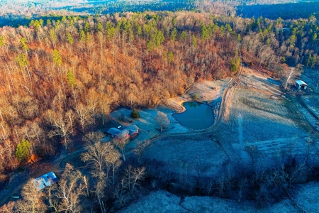 Spectacular Current River Farm Auction With Income Potential - image 9