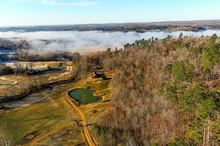 Spectacular Current River Farm Auction With Income Potential - image 4
