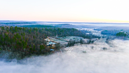 Spectacular Current River Farm Auction With Income Potential - image 22