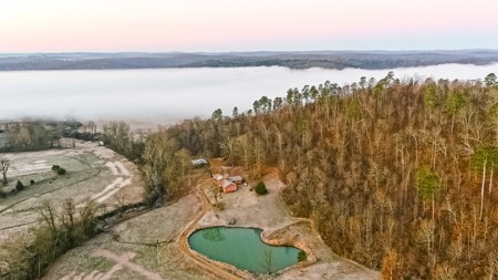 Spectacular Current River Farm Auction With Income Potential - image 20