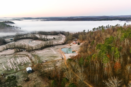 Spectacular Current River Farm Auction With Income Potential - image 26