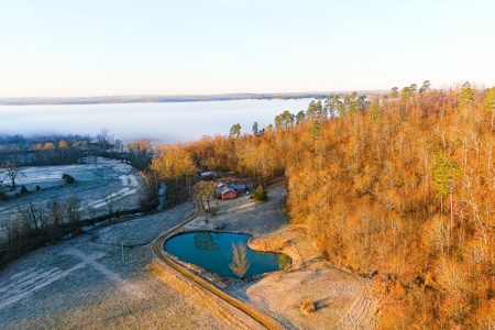 Spectacular Current River Farm Auction With Income Potential - image 8