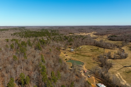 Spectacular Current River Farm Auction With Income Potential - image 40