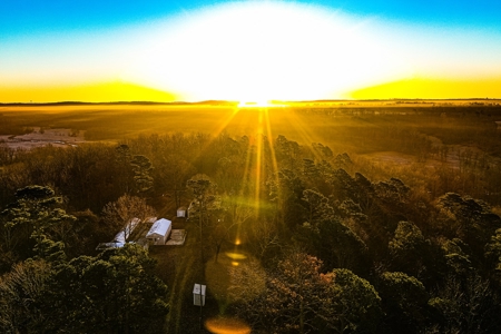 Spectacular Current River Farm Auction With Income Potential - image 14