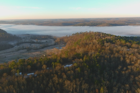 Spectacular Current River Farm Auction With Income Potential - image 7