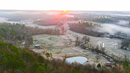 Spectacular Current River Farm Auction With Income Potential - image 16