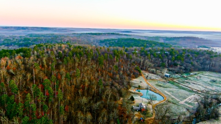 Spectacular Current River Farm Auction With Income Potential - image 11