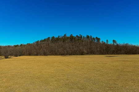 Spectacular Current River Farm Auction With Income Potential - image 49