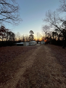 Spectacular Current River Farm Auction With Income Potential - image 44