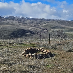 Newly Renovated, Panoramic Views of Wenas Lake on 2 Acres! - image 30
