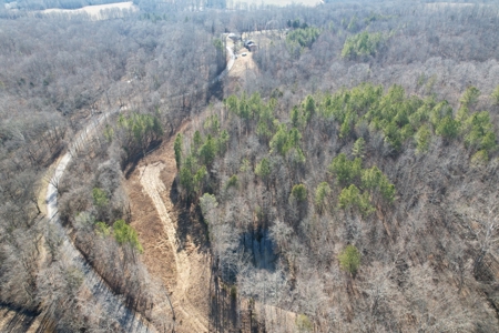 Land For Sale In Lawrenceburg Tennessee - image 6