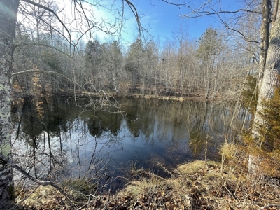 Land For Sale In Lawrenceburg Tennessee - image 7