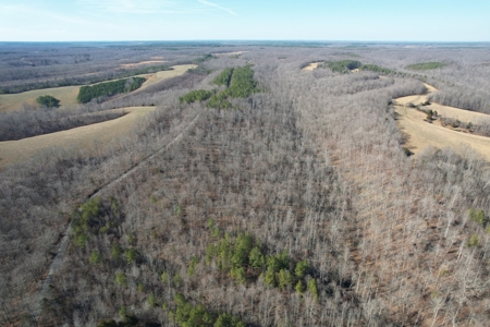 Land For Sale In Lawrenceburg Tennessee - image 4