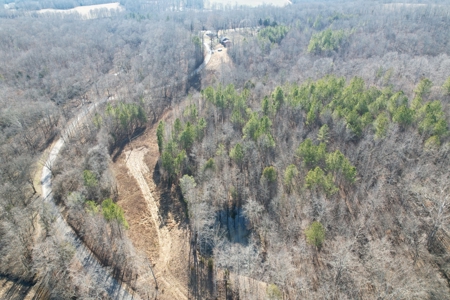 Land For Sale In Lawrenceburg Tennessee - image 2