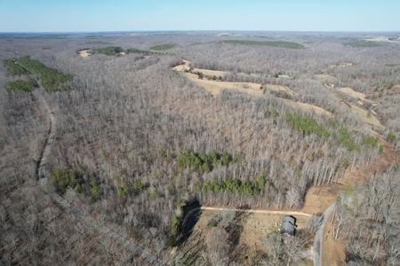 Land For Sale In Lawrenceburg Tennessee - image 3