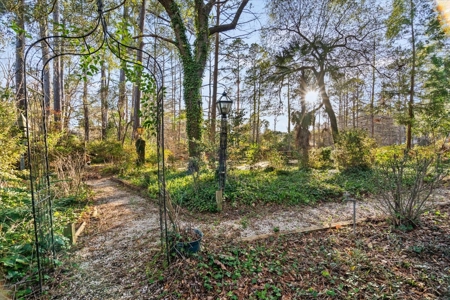 Remodeled Cape Cod Home, Forest, Pond in Cheraw, SC - image 39
