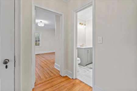 Remodeled Cape Cod Home, Forest, Pond in Cheraw, SC - image 22