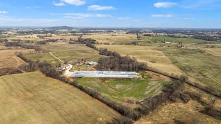 22 acre poultry farm for sale near Smiths Grove, Ky. - image 3